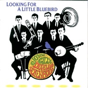 John Gill - Looking for a Little Bluebird
