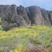 Cherry Orchard Trail