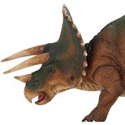 Triceratops