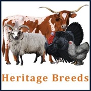 Heritage Breeds