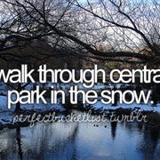 Walk Through Central Park in the Snow