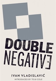 Double Negative (Ivan Vladislavic)
