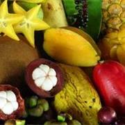 Weird/Exotic Fruits