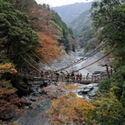 Iya Valley Vine Bridges, Japan
