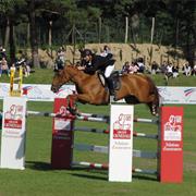 Jump a Horse Over 1 Metre