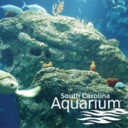 South Carolina Aquarium
