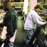 Building Steam With a Grain of Salt - DJ Shadow