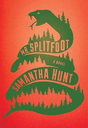 Mr. Splitfoot (Samantha Hunt)