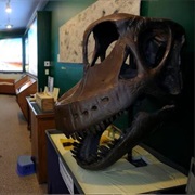 Dinosaur Ridge Exhibition Hall (Morrison, CO)