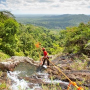 Jungle Hiking in Mayflower Bocawina National Park