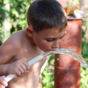 Drinking From the Water Hose