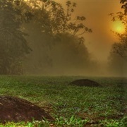 Diquis Precolumbian Chiefdom Settlements