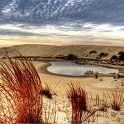 Jockey's Ridge State Park