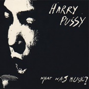Harry Pussy - What Was Music?
