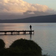 Hans Bay Lake Kaniere