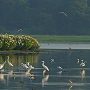 Lower Delaware National Wild & Scenic River