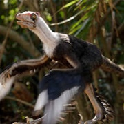 Microraptor