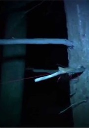 Night of the Vampire (2012)