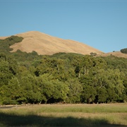 Sugarloaf Ridge State Park, California