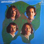 Autosalvage, "Autosalvage"