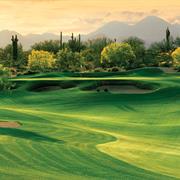 We-Ko-Pa (Cholla) US