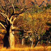 Keep River National Park (NT)