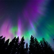 Witnessed the Northern Lights