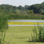 Persina Nature Park, Bulgaria