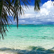 Swam in the Bahamas