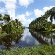 Commewijne River, Suriname