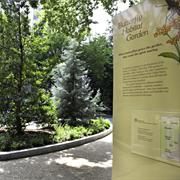 Butterfly Habitat Garden (National Museum of Natural History)