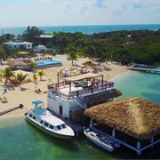 Koko King Caye Caulker