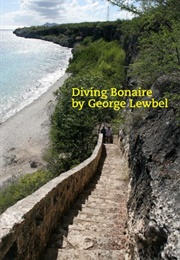 Diving Bonaire (George S. Lewbel)