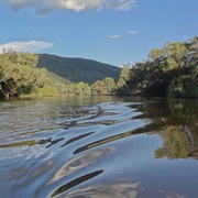 Gwydir River National Park (NSW)