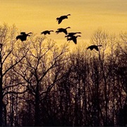 Port Louisa National Wildlife Refuge