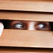 Venetian Blinds Were Invented in Japan