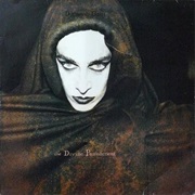 Diamanda Galás - The Divine Punishment (1986)
