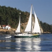 Go Sailing on the Ocean