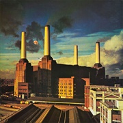 Pigs (Three Different Ones) - Pink Floyd