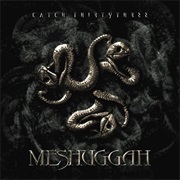 Catch Thirtythree by Meshuggah (47:18)