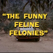 The Funny Feline Felonies