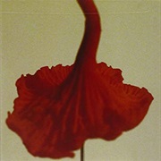 Mira - There I Go, Daydreamer