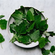 Lambsquarters