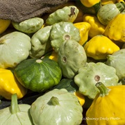 Patty Pan Squash