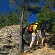Petroglyphs Provincial Park