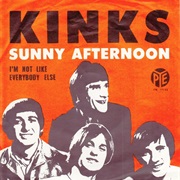 The Kinks, Sunny Afternoon