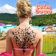 You Need to Calm Down - Taylor Swift