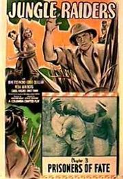 Jungle Raiders