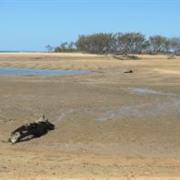 Wild Cattle Island National Park (QLD)