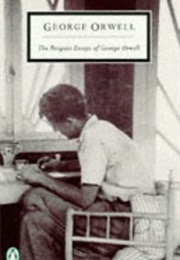 Abeka everyman essay image